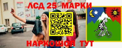 Альфа ПВП Аргун