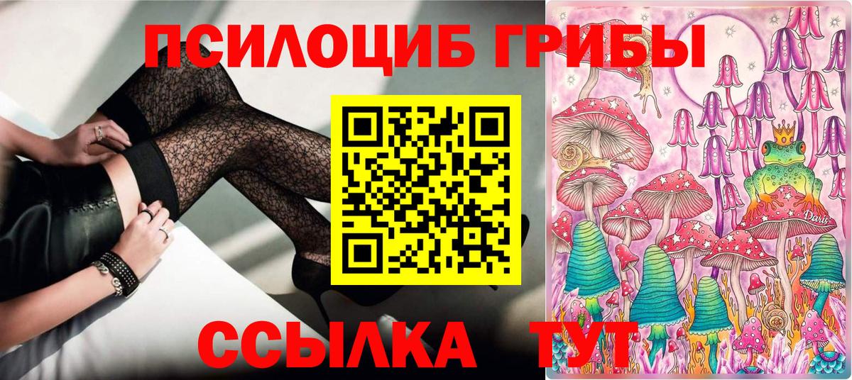 Псилоцибиновые грибы Psilocybine cubensis  Аша 