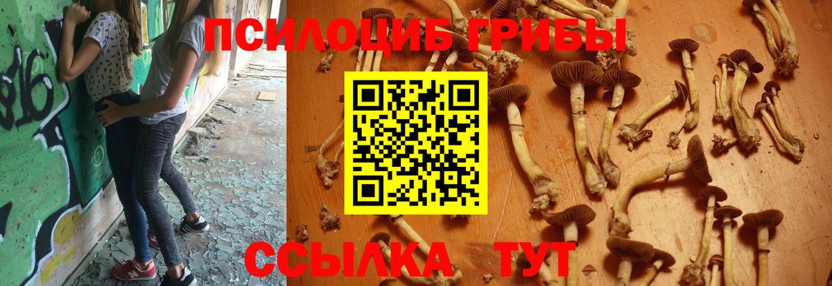 Псилоцибиновые грибы GOLDEN TEACHER  Вход с VPN  Аша 