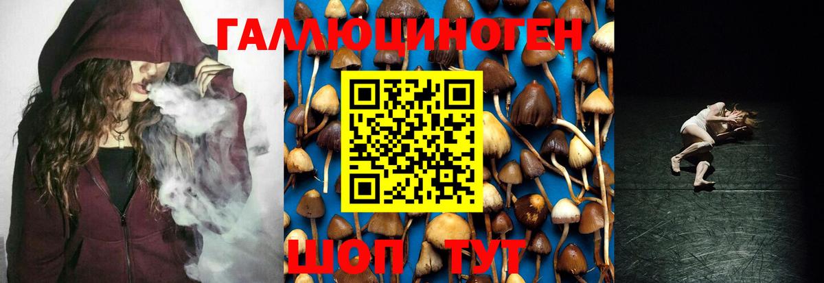 Галлюциногенные грибы мицелий Аша